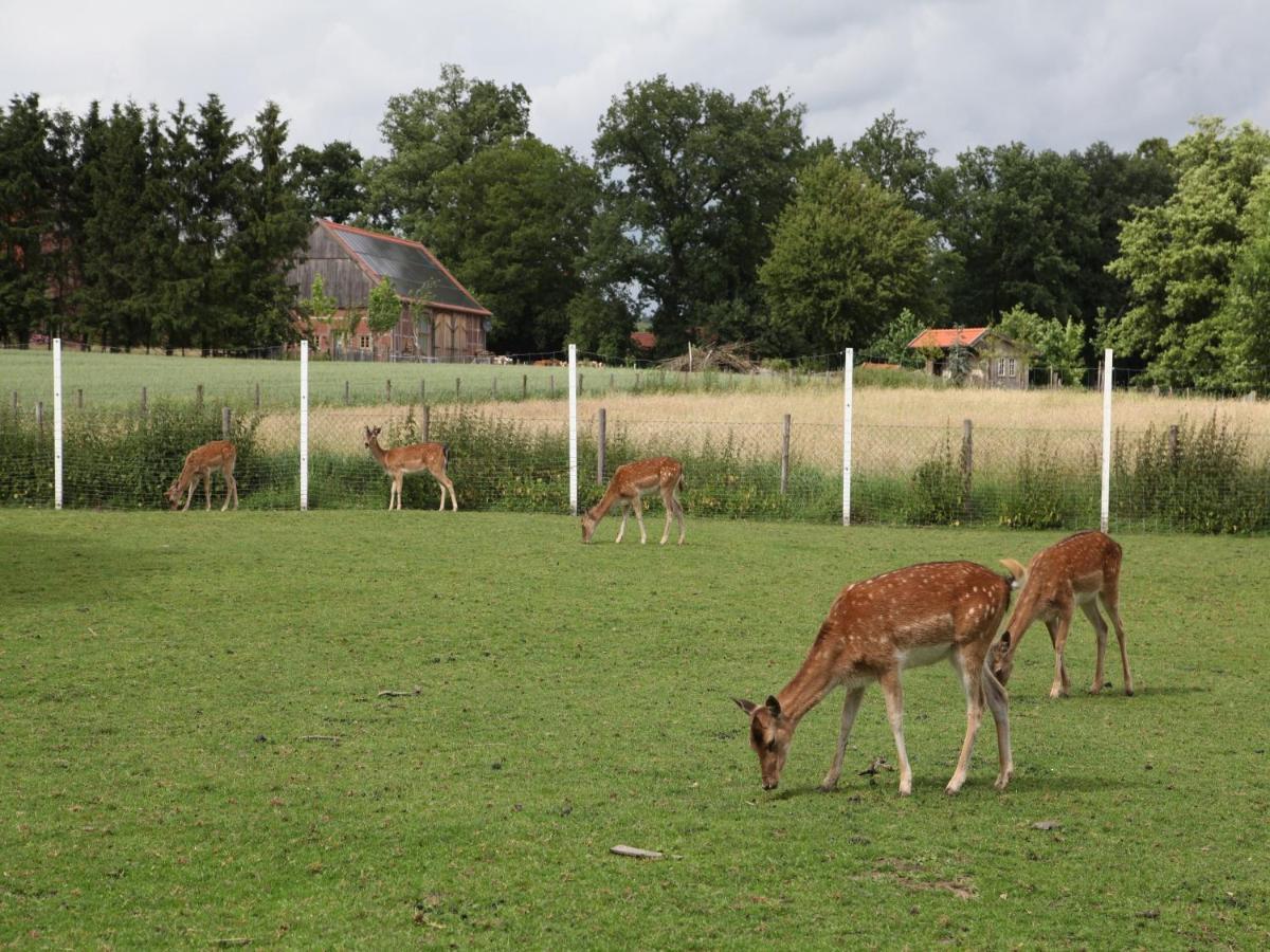 Gaeste Und Ferienhof Maas Dülmen Buitenkant foto